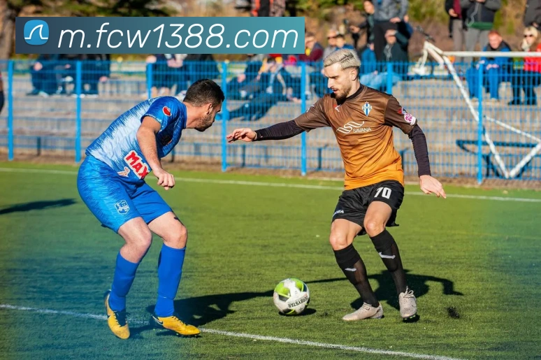 福彩网平台生态图